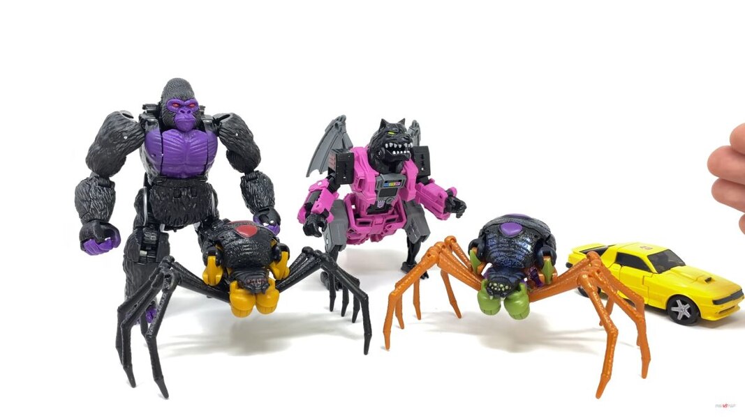 Transformers Worlds Collide 4 Pack In Hand Images  (32 of 42)